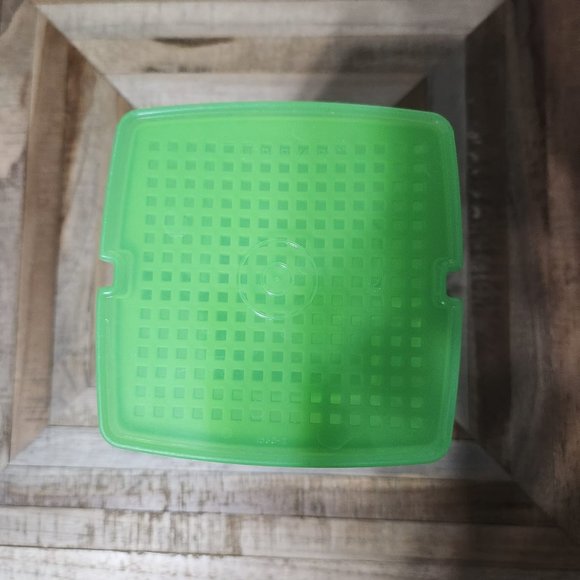 Tupperware 8 1/2 " tall Pick-A-Deli Pickle Keeper Green Lid Insert 3 pc - Picture 4 of 7